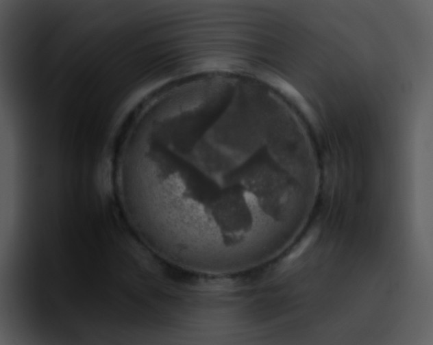 X0000095671019200801081204