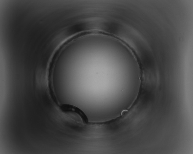 X0000095671020200801081204
