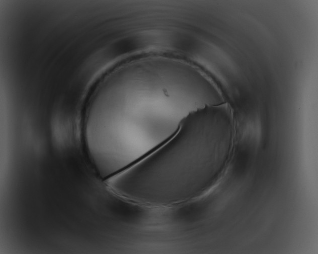 X0000095671021200801081204