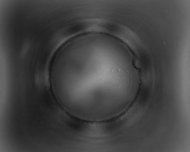 X0000095671022200801081204