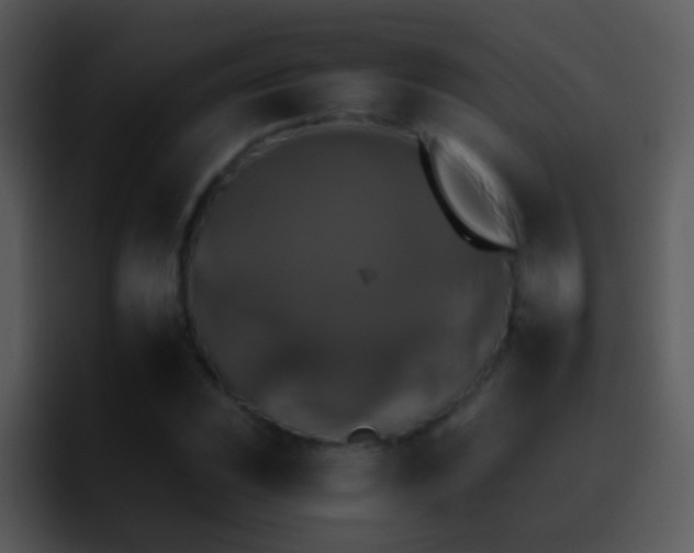 X0000095671023200801081204