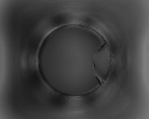 X0000095671024200801081204