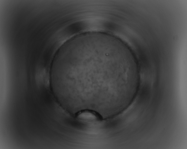 X0000095671025200801081204