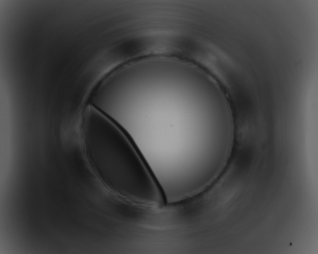 X0000095671026200801081204