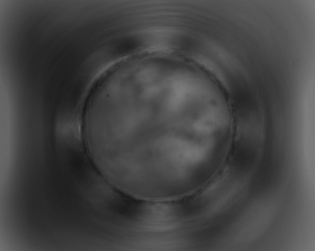 X0000095671027200801081204