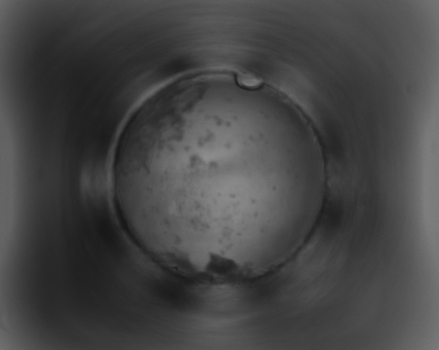 X0000095671028200801081204