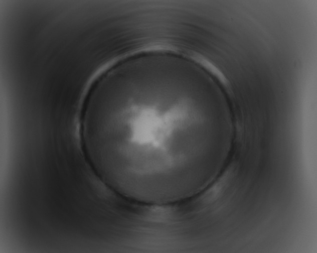 X0000095671029200801081204