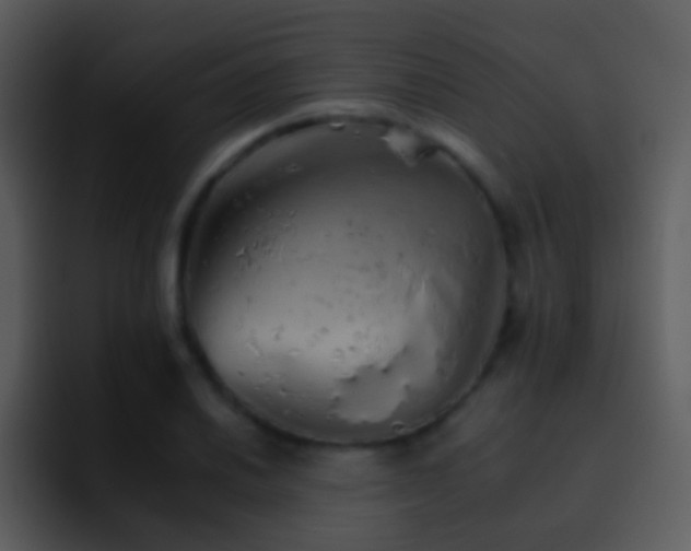 X0000095671030200801081204