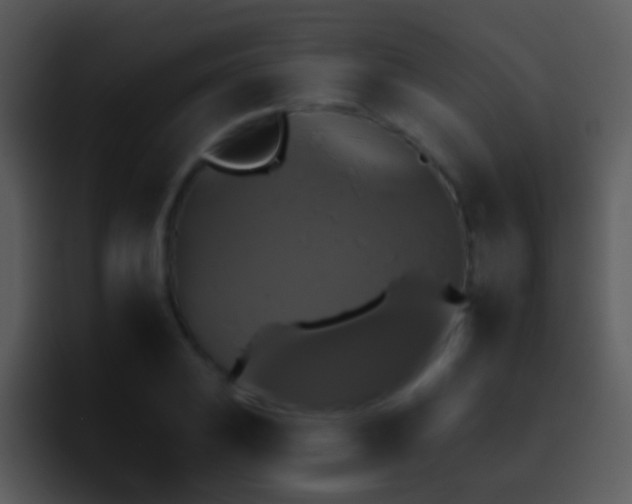 X0000095671031200801081204