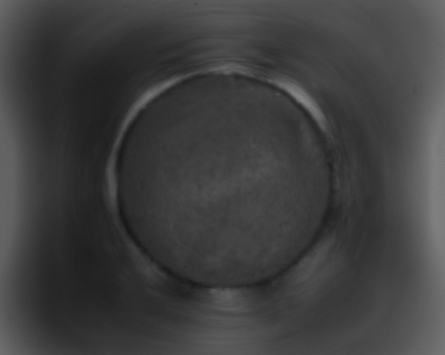 X0000095671032200801081204