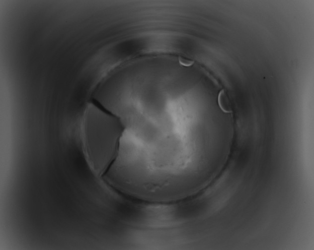 X0000095671033200801081204