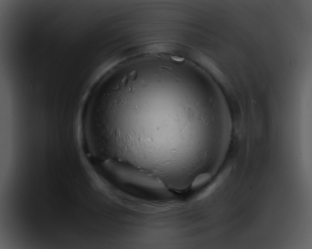 X0000095671034200801081204