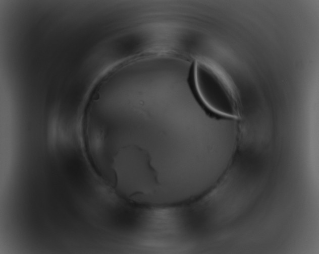 X0000095671035200801081204