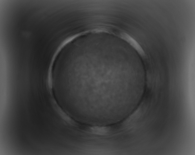 X0000095671036200801081204