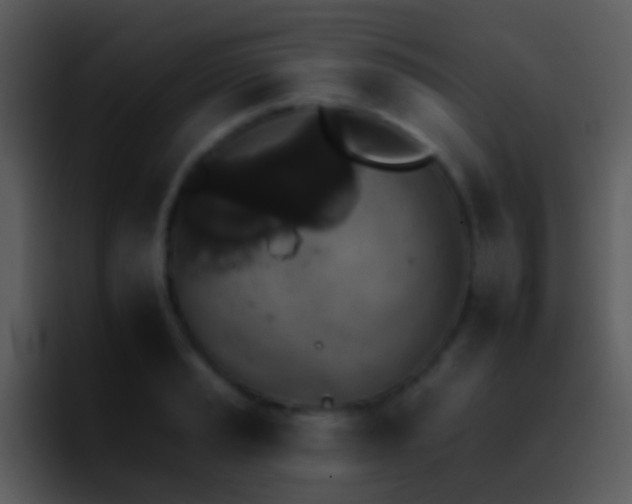 X0000095671037200801081204