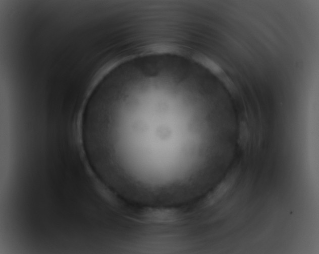 X0000095671039200801081204
