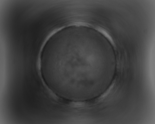 X0000095671040200801081204