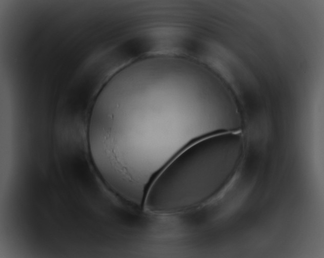 X0000095671041200801081204