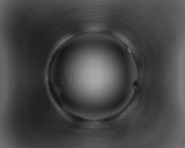 X0000095671042200801081204