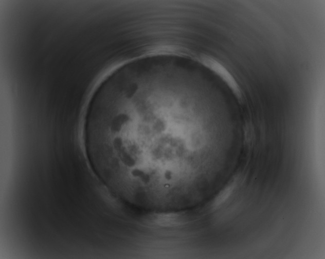 X0000095671043200801081204