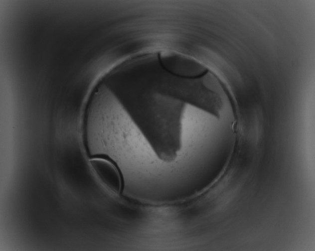 X0000095671045200801081204