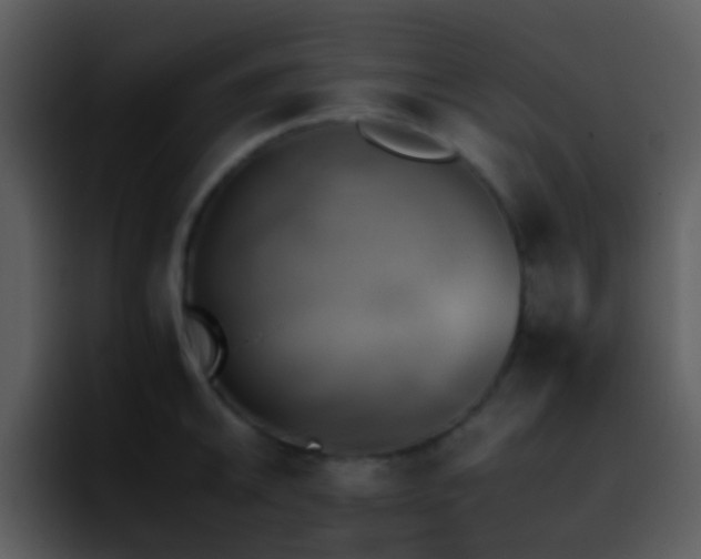 X0000095671046200801081204