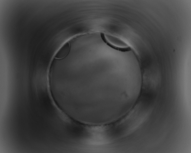 X0000095671047200801081204
