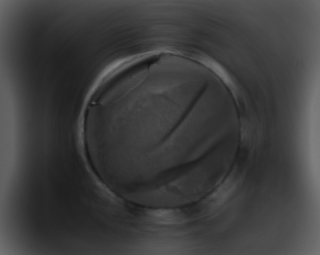 X0000095671048200801081204