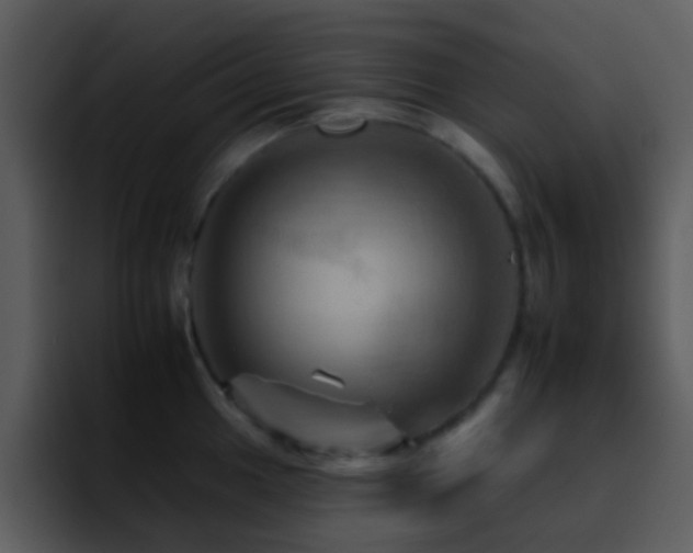 X0000095671049200801081205