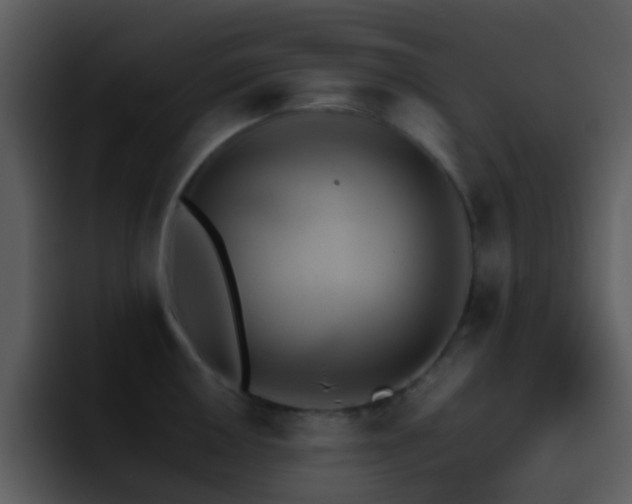 X0000095671050200801081205