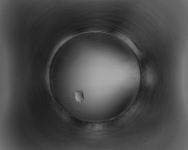 X0000095671051200801081205