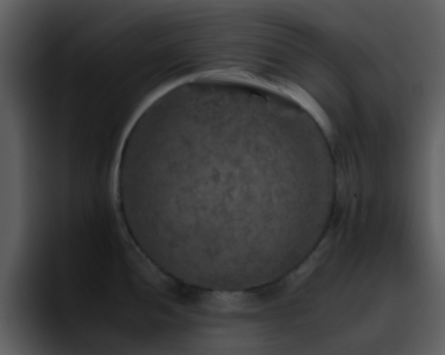 X0000095671052200801081205