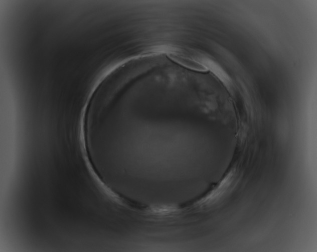 X0000095671055200801081205