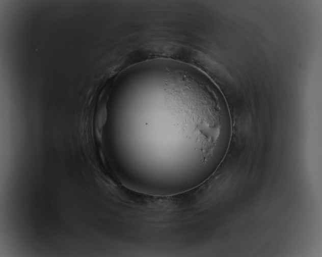 X0000095671058200801081204