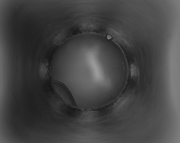 X0000095671059200801081204