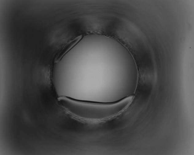 X0000095671060200801081204