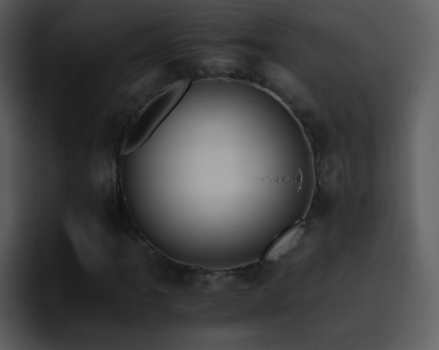 X0000095671061200801081204