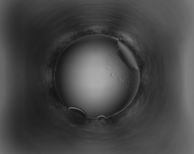 X0000095671062200801081204