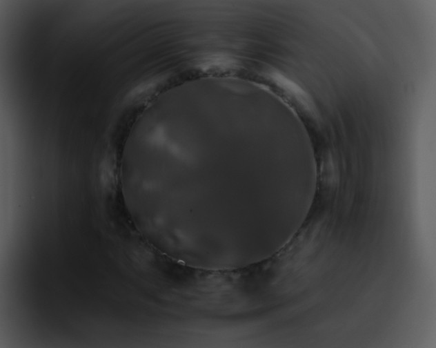 X0000095671063200801081204