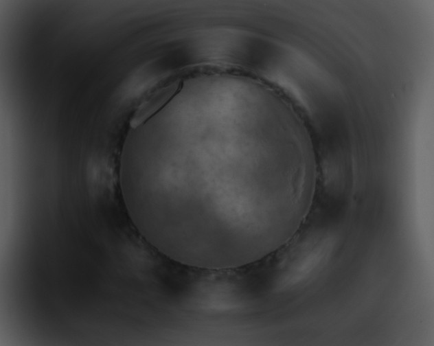 X0000095671064200801081204