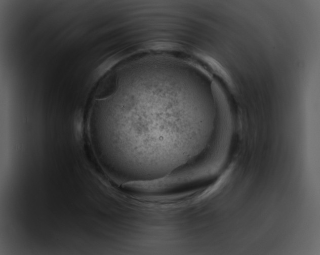 X0000095671065200801081204