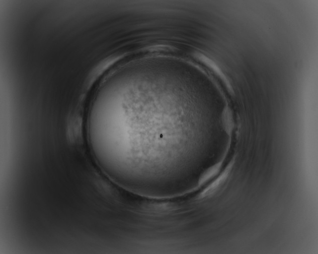 X0000095671066200801081204