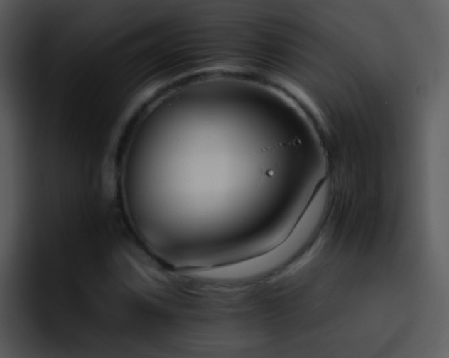 X0000095671067200801081204