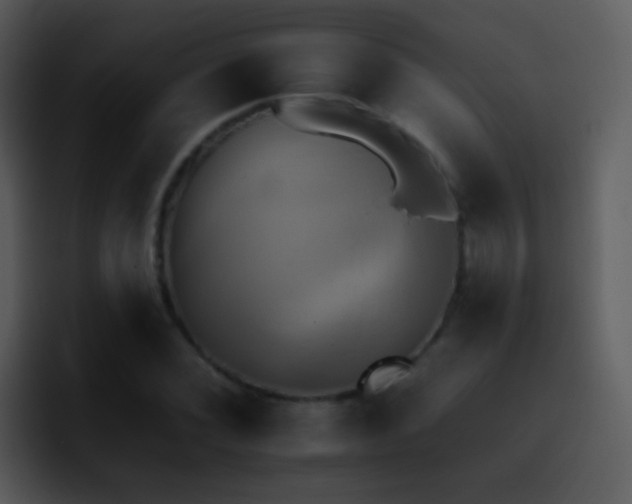 X0000095671068200801081204