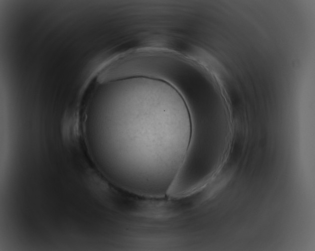 X0000095671069200801081204