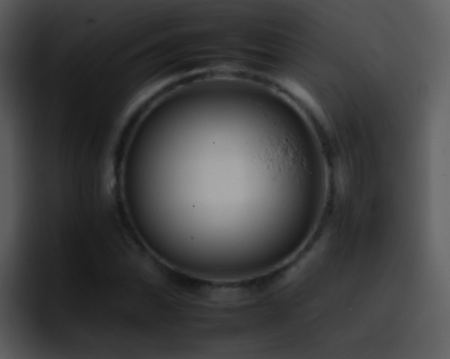 X0000095671070200801081204