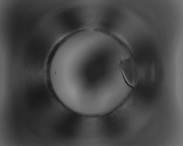 X0000095671071200801081204