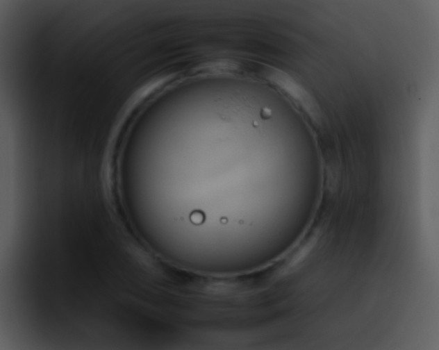 X0000095671074200801081204