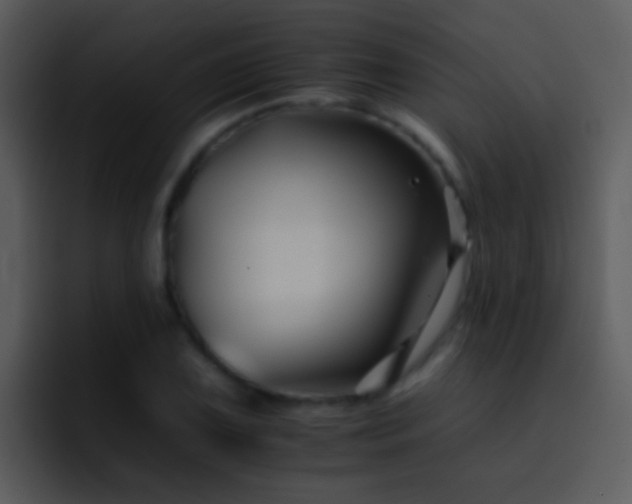 X0000095671075200801081204