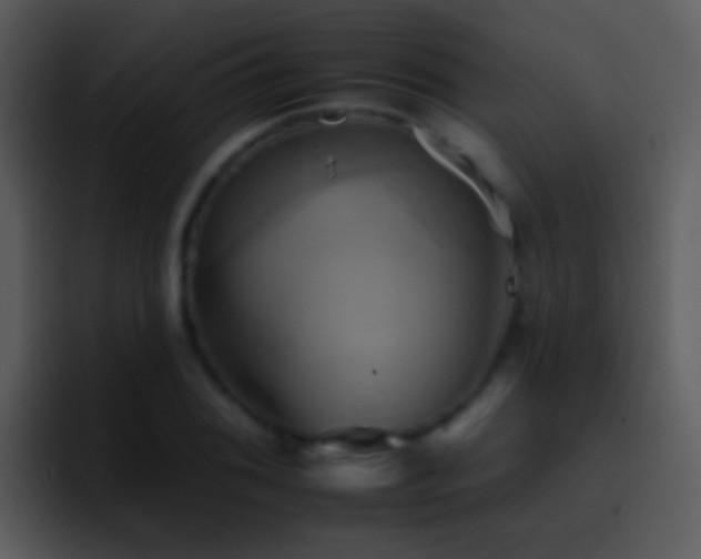 X0000095671076200801081204